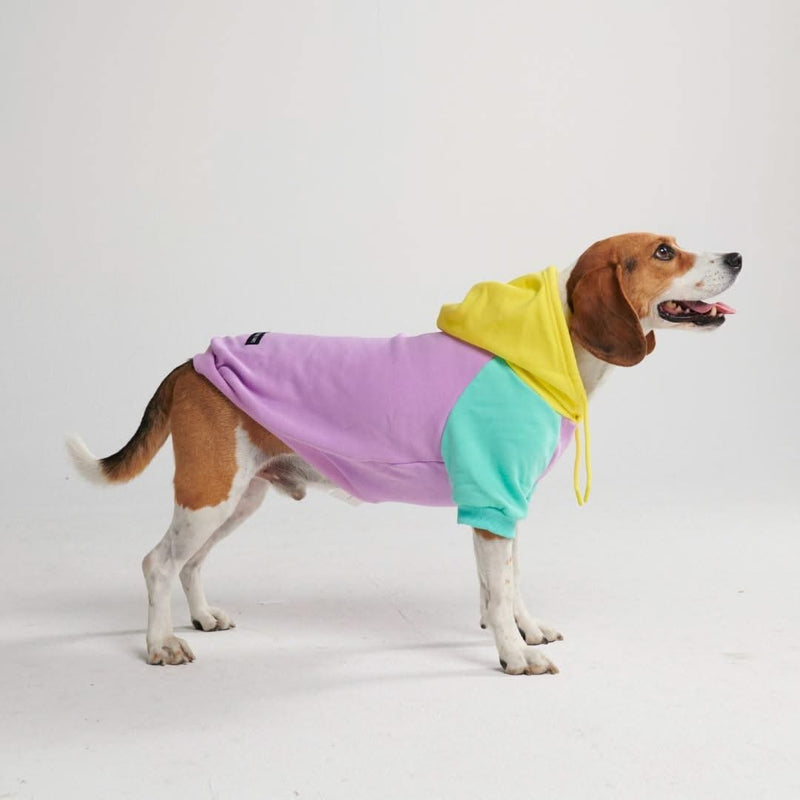 Lila-Türkis-Gelber Hunde Hoodie