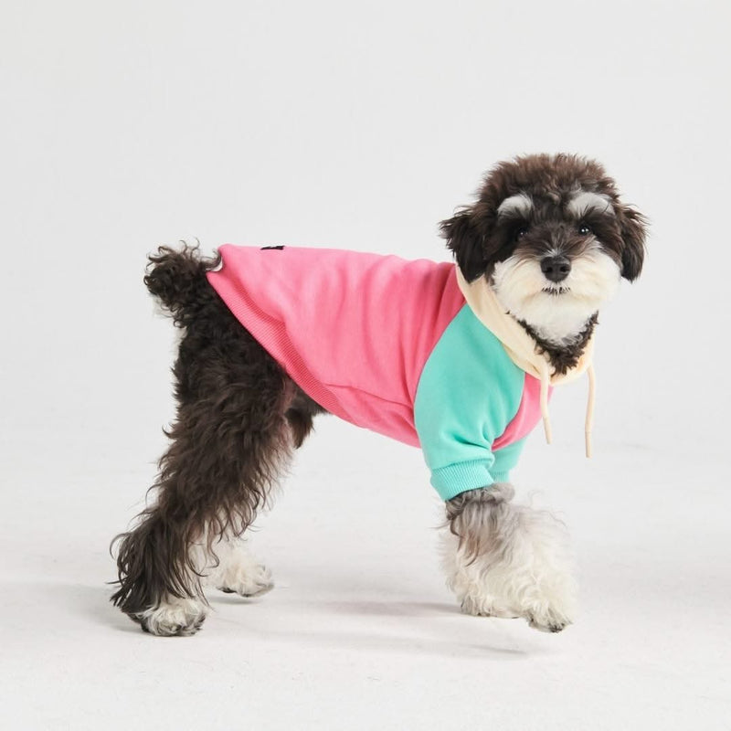Rosa-Türkis-Creme Hunde Hoodie