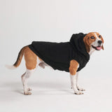 Teddy Sherpa Hundejacke - Schwarz