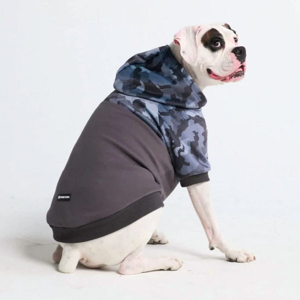 Graue Tarn-Hundehoodie