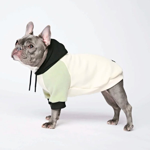 Oliv Creme Hunde Hoodie