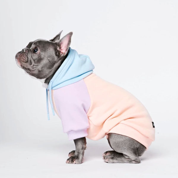 Bonbon Hunde Hoodie
