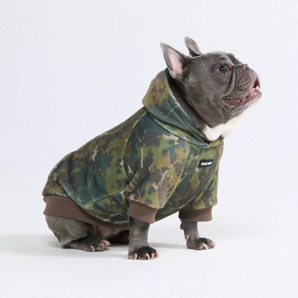 Hunde-Hoodie aus Betonholz – Moos