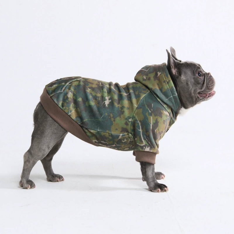 Hunde-Hoodie aus Betonholz – Moos