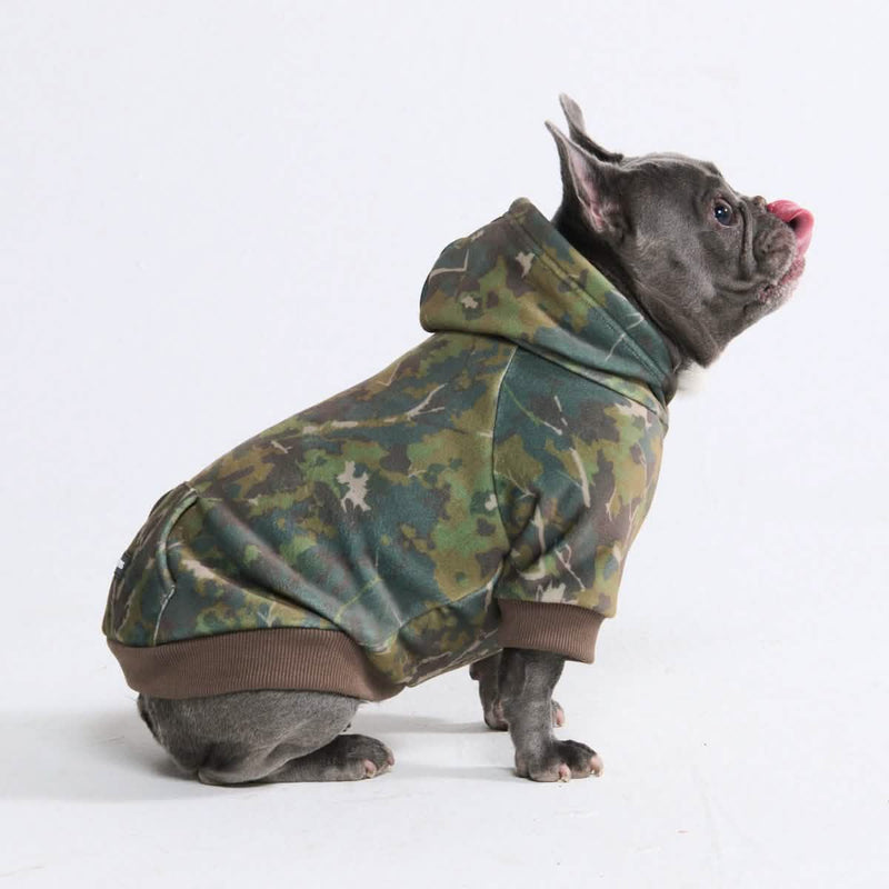 Hunde-Hoodie aus Betonholz – Moos