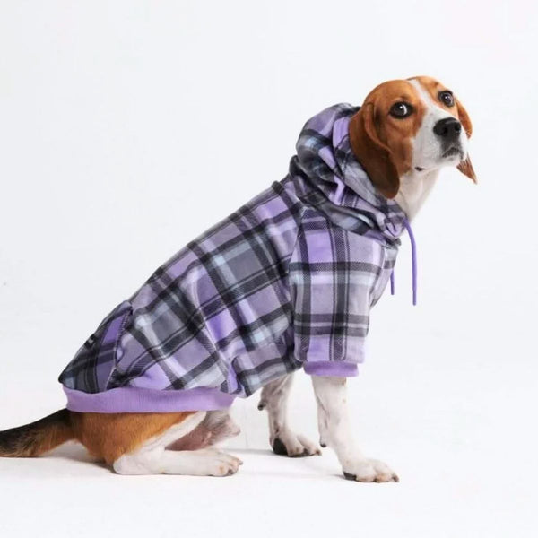 Lila-karierter Hunde Hoodie