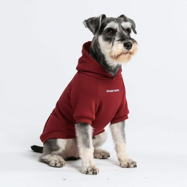Essentielles Hunde Hoodie - Burgunder