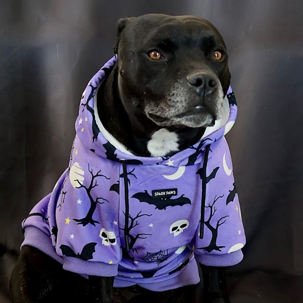 Halloween Hundehoodie - Lila