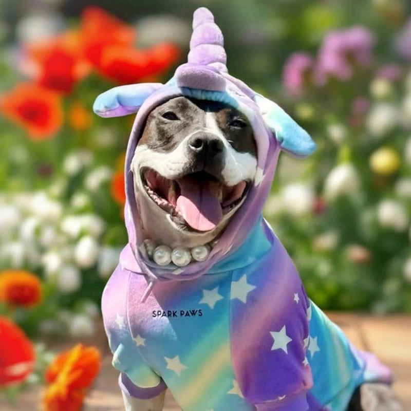 Halloween Menschen Hoodie - Einhorn
