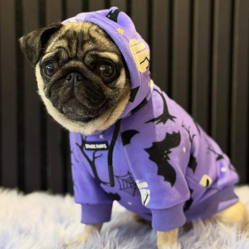 Halloween Hundehoodie - Lila