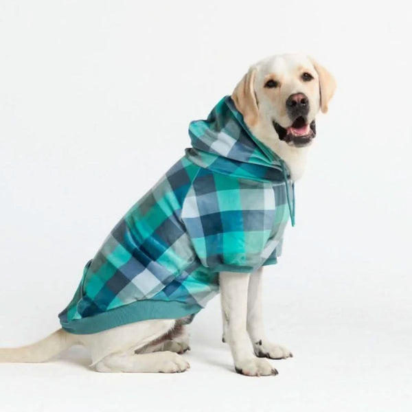 Samtiger Hunde Hoodie - Türkis-karierter