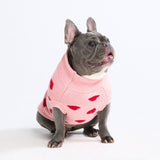 Strickpullover für Hunde – Herzen