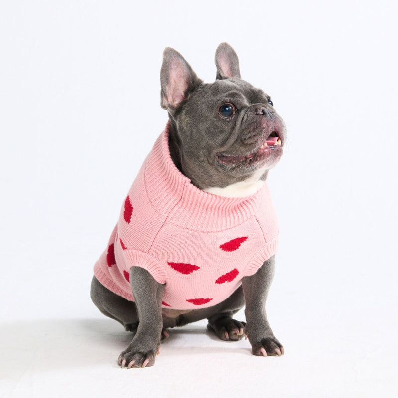 Strickpullover für Hunde – Herzen