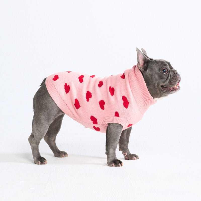Strickpullover für Hunde – Herzen