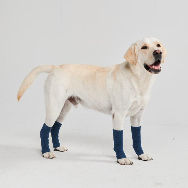 Dehnbare Fleece-Beinwärmer für Hunde - Marineblau