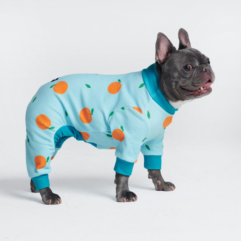 Hunde-Pyjama - Orangen