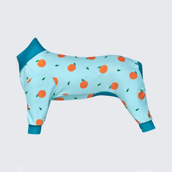 Hunde-Pyjama - Orangen