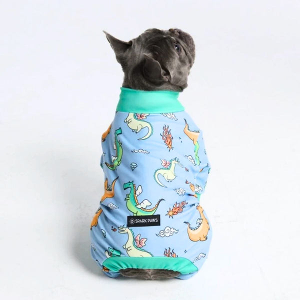Hunde Pyjama– Drachen