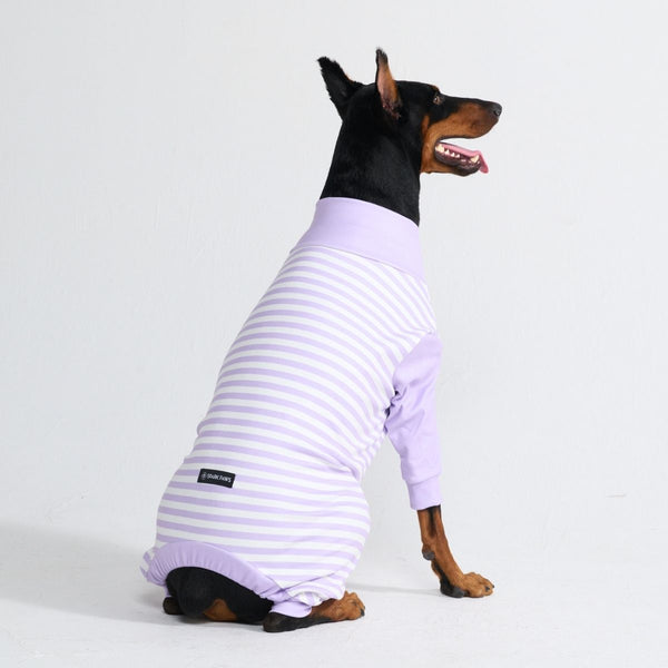 Hunde Pyjama - Lila Streifen
