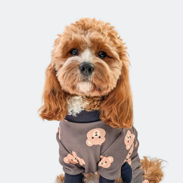 Hunde-Pyjama - Bär Schwarz