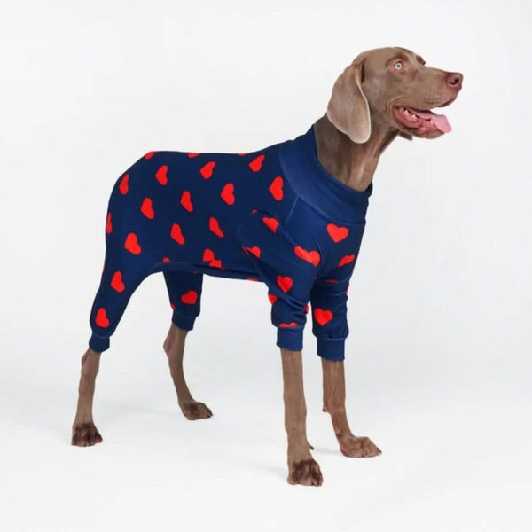 Hunde-Pyjama - Herzen
