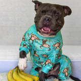 Hunde Pyjama - Monkey Business