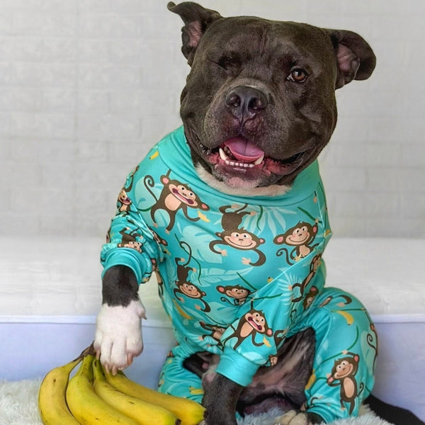 Hunde Pyjama - Monkey Business