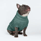 Strickpullover für Hunde - Kieferngrün