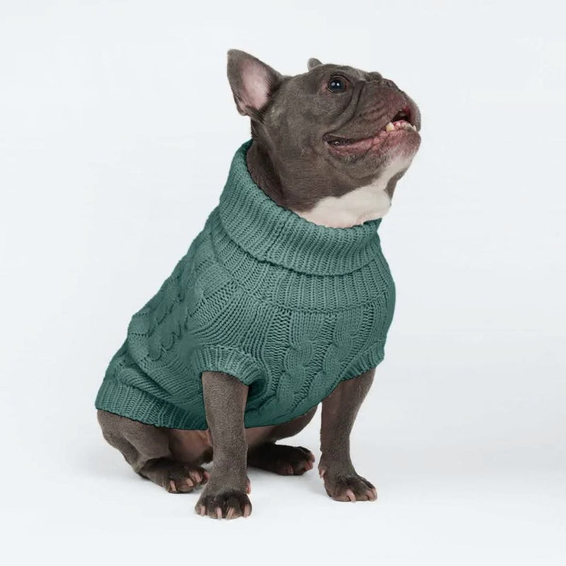 Strickpullover für Hunde - Kieferngrün