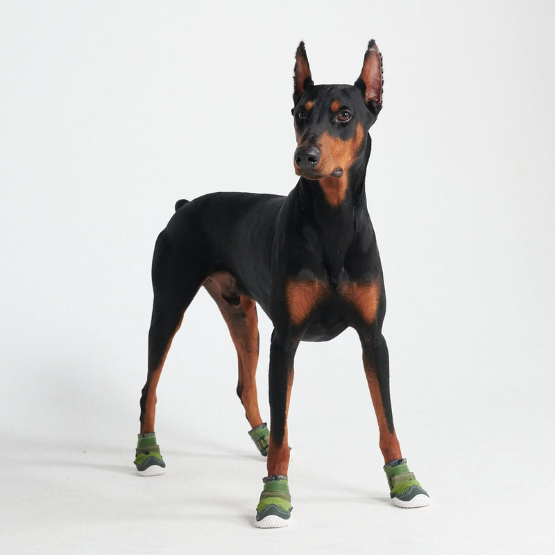 Hot Pavement Pawtector Hundeschuhe - Grün