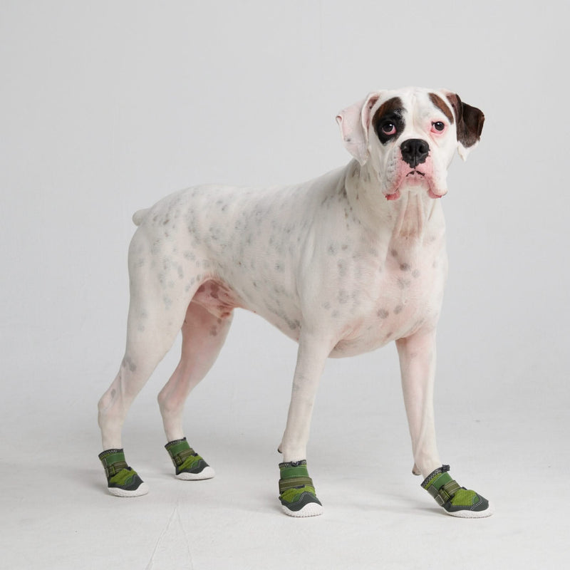 Hot Pavement Pawtector Hundeschuhe - Grün