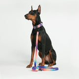 Taktisches Hundehalsband - und Leinen-Set - Kaleidoskop
