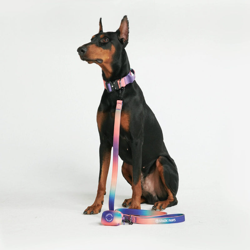 Taktisches Hundehalsband - und Leinen-Set - Kaleidoskop