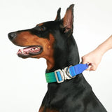 Taktisches Halsband für große Hunde - Limewelle