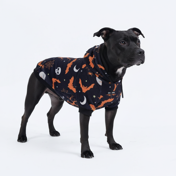 Halloween Hundehoodie - Schwarz