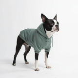 Essentielles Hunde Hoodie - Türkis