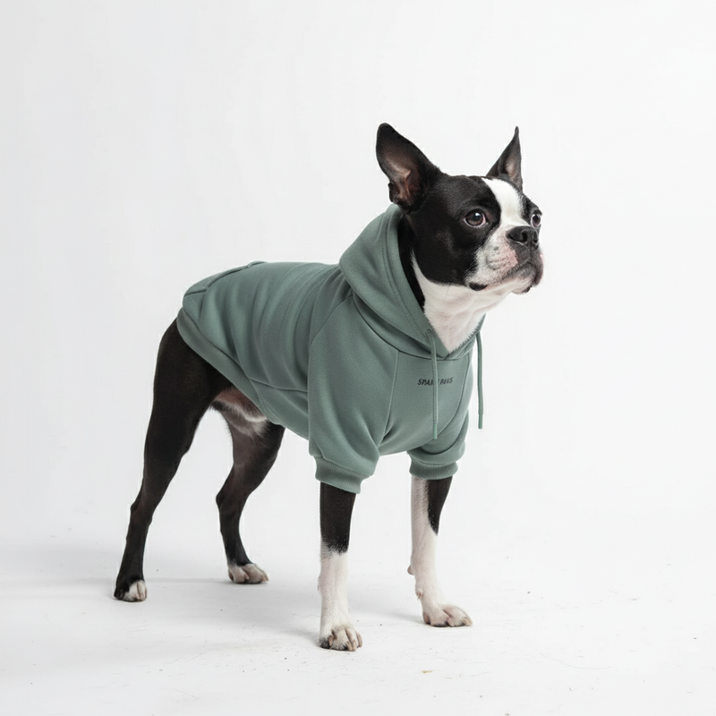Essentielles Hunde Hoodie - Türkis