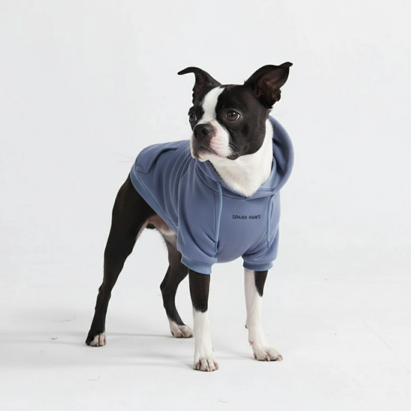 Essentielles Hunde Hoodie - Schieferblau