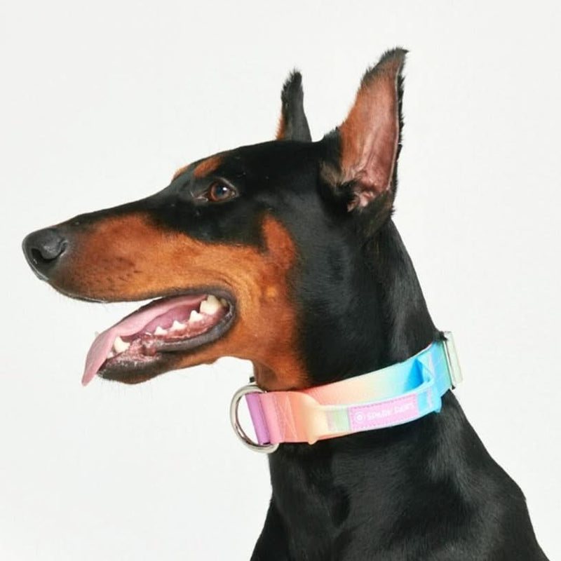 Taktisches Halsband für große Hunde - Pastellglasur