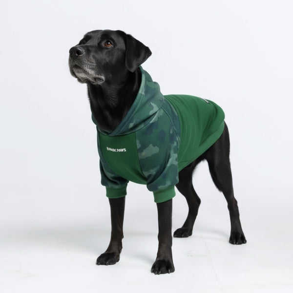 Waldtarn-Hundehoodie