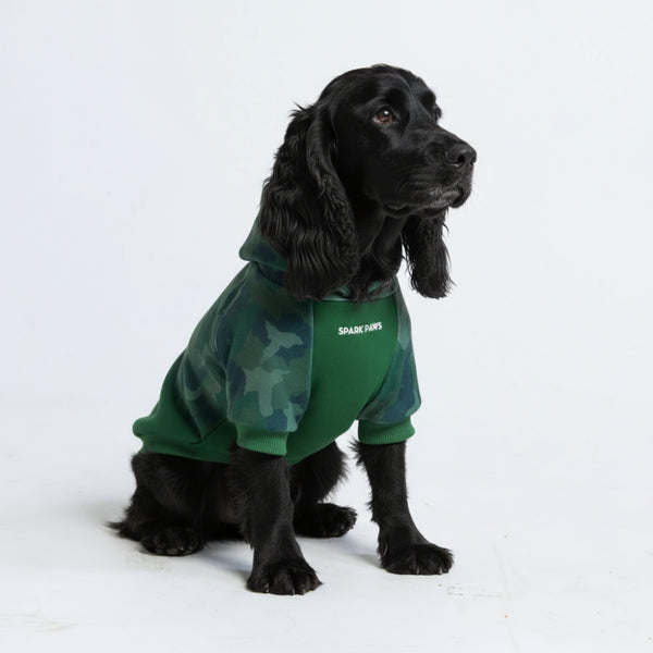 Waldtarn-Hundehoodie