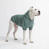 Essentielles Hunde Hoodie - Türkis