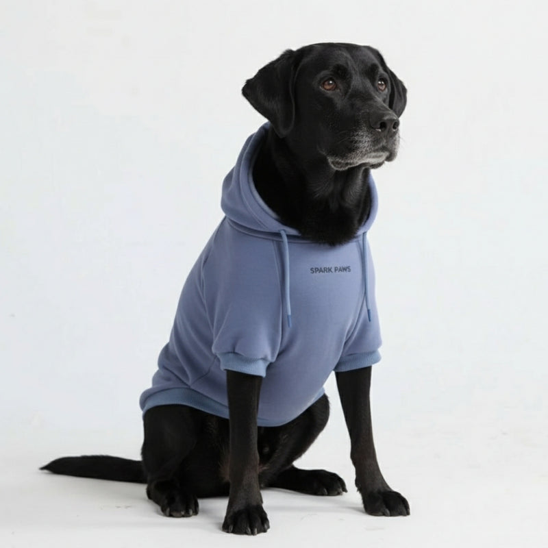 Essentielles Hunde Hoodie - Schieferblau