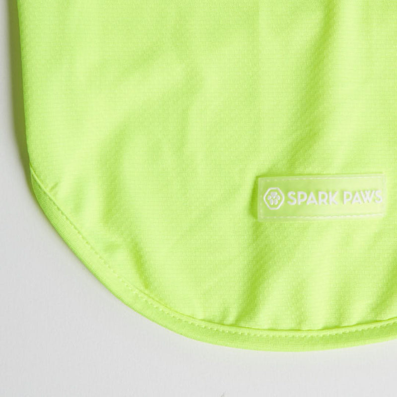 Sunblock Hunde-T-Shirt – Neon