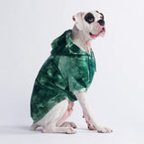 Samtiger Hunde Hoodie - Smaragdgrün