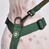 Komfort-Kontrolle No-Pull Hundegeschirr - Grün