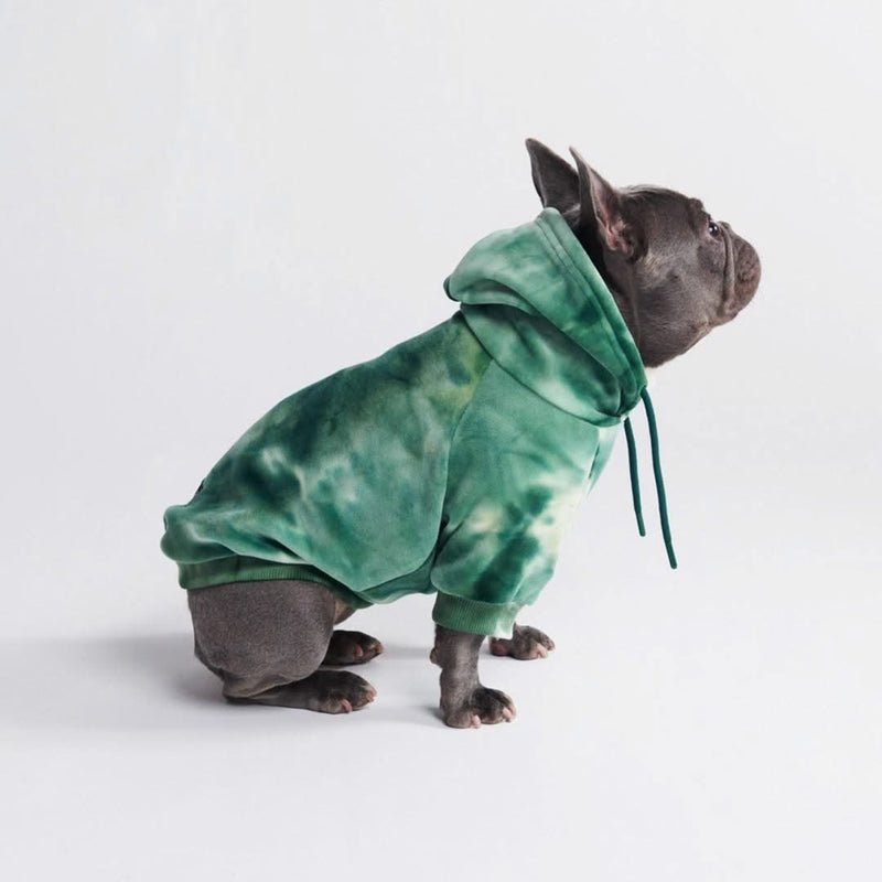 Samtiger Hunde Hoodie - Smaragdgrün