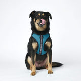 Superweiches Activewear Hundegeschirr - Blau