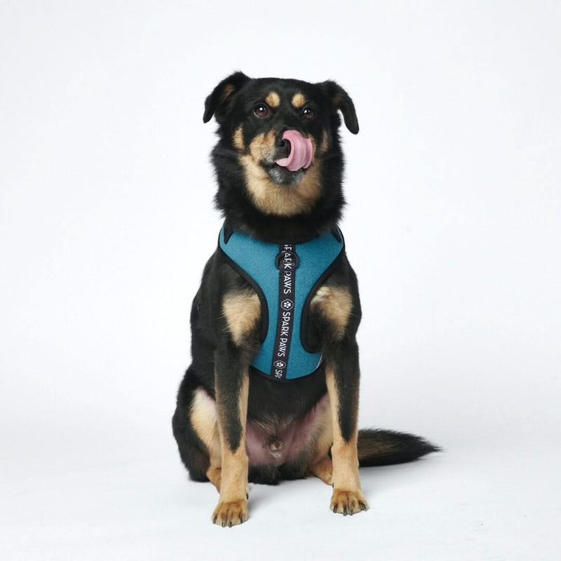 Superweiches Activewear Hundegeschirr - Blau