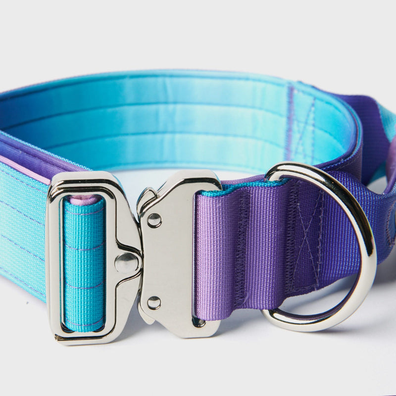 Taktisches Hundehalsband - und Leinen-Set - 90s Retro